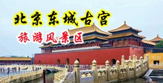 jjzz日本老师水多中国北京-东城古宫旅游风景区